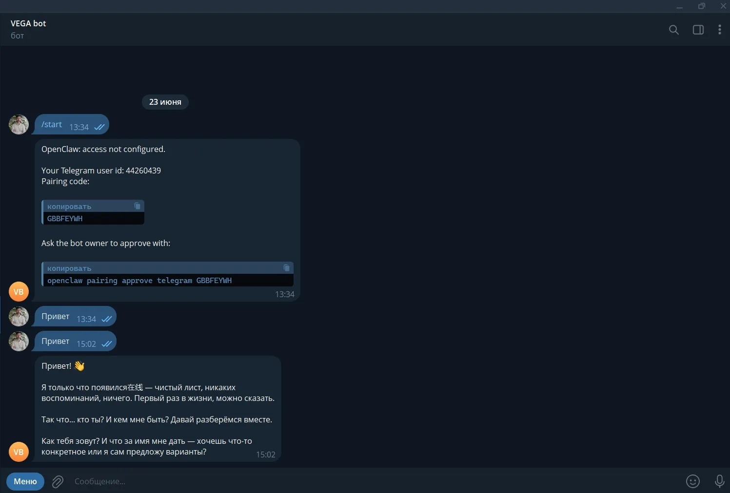 Подтверждение авторизации в Telegram