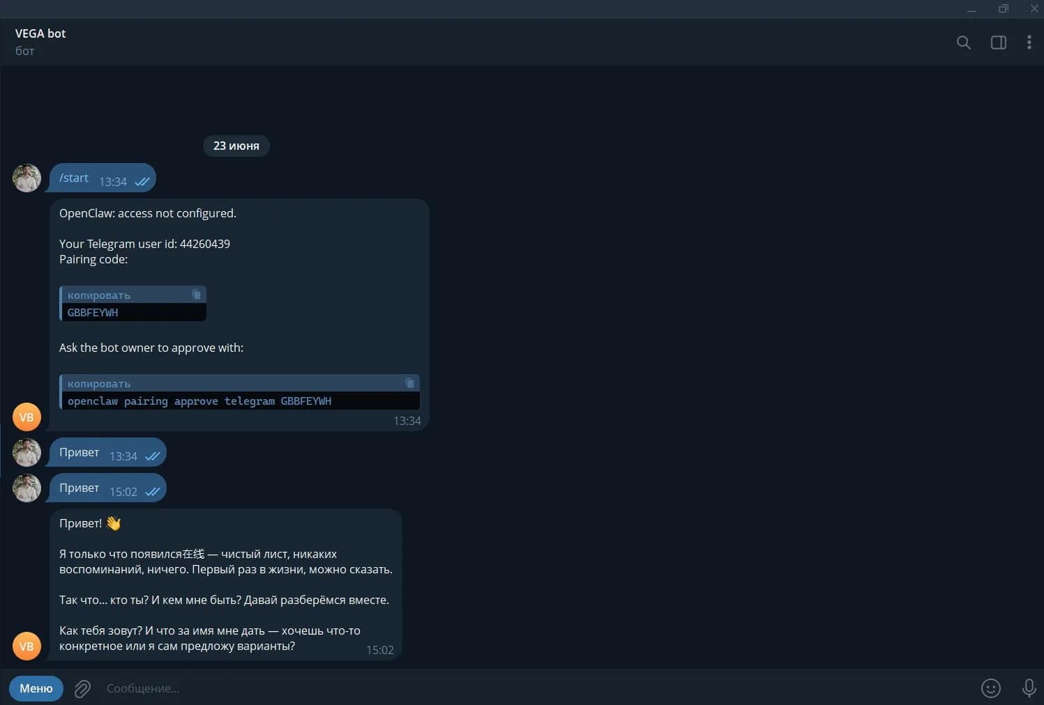 Подтверждение авторизации в Telegram